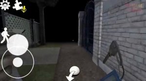 логи бобо и моржи