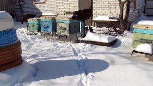 Апрельские капризы погоды