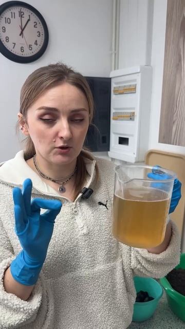 КАК ПОСЕЯТЬ ЭУСТОМЫ ПРАВИЛЬНО