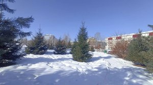 Паспорт всё-таки врёт