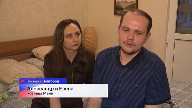 У щенка, которого бросили в мороз возле подъезда в Щербинках, появились новые хозяева смотреть онлайн