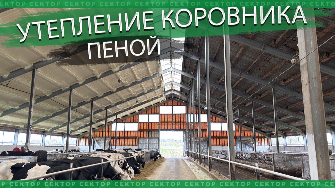 Утепление крыши коровника пенополиуретаном (ППУ) смотреть онлайн