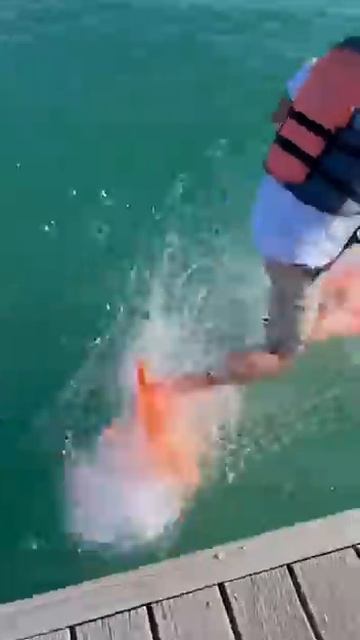 Running on water using plates смотреть онлайн