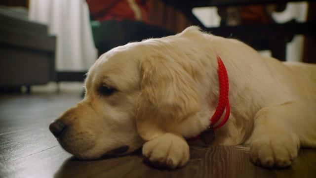 Остерегайтесь мошенников