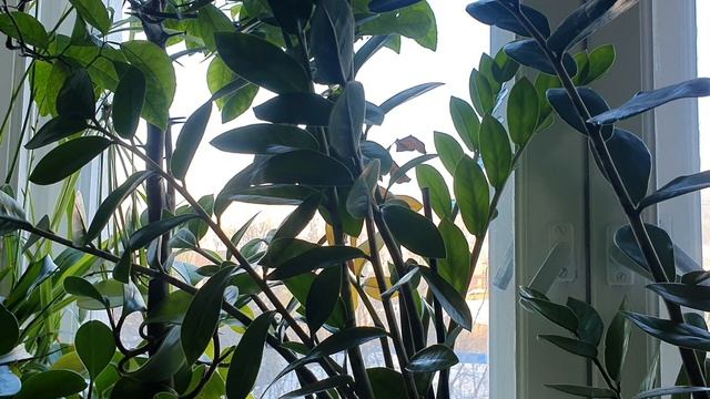 Не спится снова…