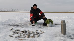 ЗИМНЯЯ РЫБАЛКА 2026 В АЛТАЙКЕ! 😱 Я просто в ШОКЕ от такого улова!