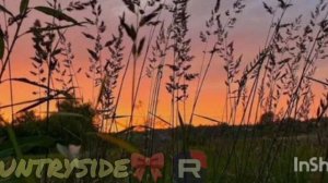 Арбалет- время Z🫶🏻💍🌱🚂💣🇷🇺