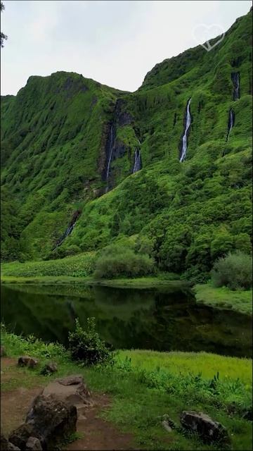 Прямо из сказки 🌿🧚