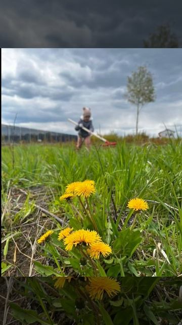 Купили участок и кайфуем!😉 Скоро стройка)