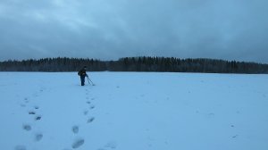 ПРОБИРАЮСЬ СКВОЗЬ ТОЛЩИ СНЕГА ПО ЛЕСНЫМ ДОРОГАМ / КОП МЕТАЛЛА ПО ЛАЙТУ НА ПОЛЯХ