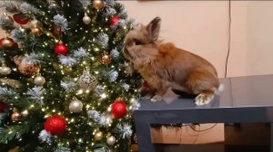 Вперёд в новый год🐧⚡