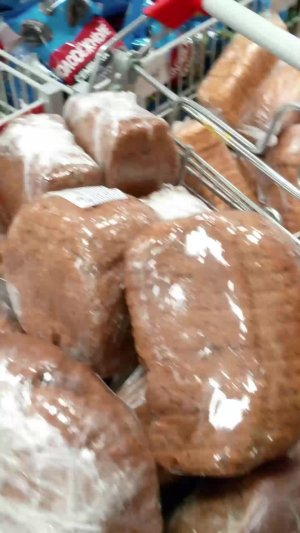 жизнь сурка