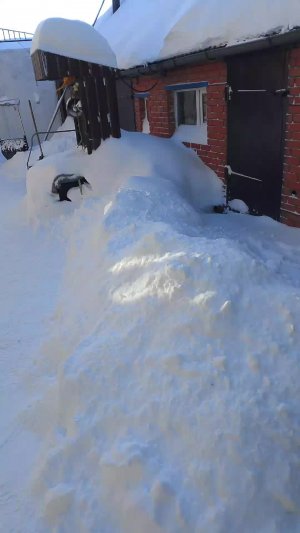 Снег, метель прекратились.