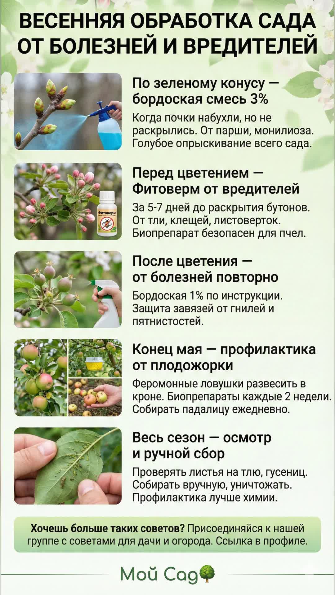 Эффективная защита сада этой весной