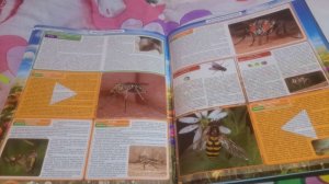 Читаю книжку про насекомых часть 2