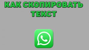 Как скопировать текст в Ватсапе