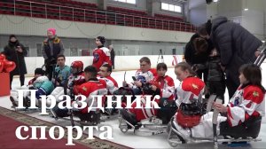 Луганский следж-хоккей отметил третью годовщину