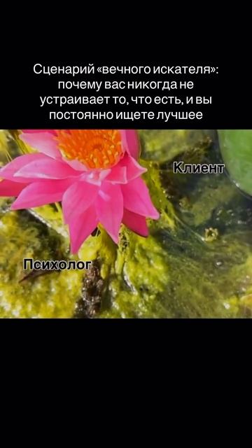 Как прекратить бесконечный поиск и найти стабильность ✨ смотреть онлайн