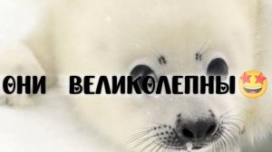 о бозе ути пути😩