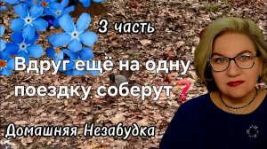 3 часть. Вдруг ещё на одну поездку соберут❓️