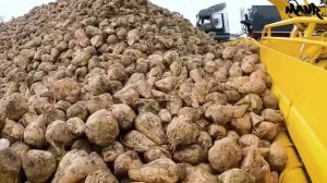 Современная Сельскохозяйственная Техника