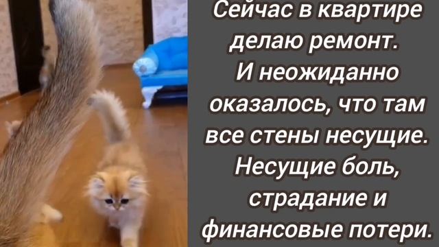 Анекдот из Сыктывкара🤣