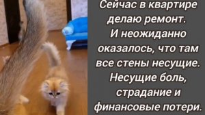 Анекдот из Сыктывкара🤣