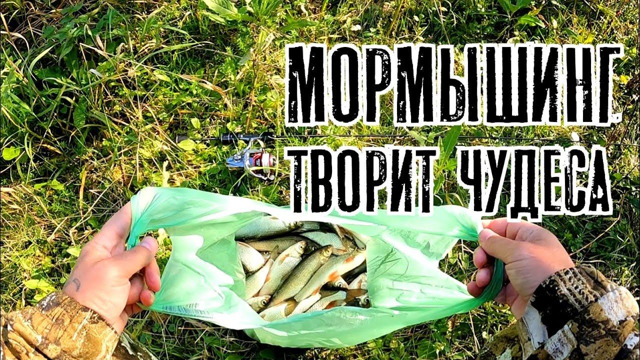 Убойный МОРМЫШИНГ. Такой КЛЁВ крупного ельца даже весной редкость. Наноджиг Ультралайт смотреть онлайн