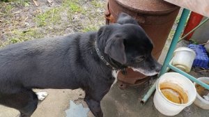 Немного потеплело