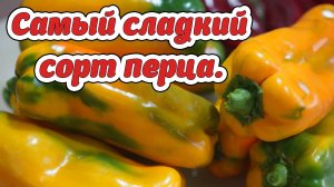 Сорта перца. Самый сладкий сорт перца.
