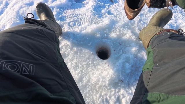 Плотва на мормышкусо льда в мороз.