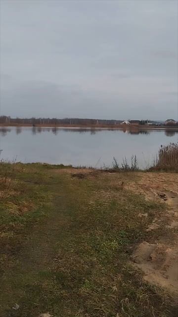 Видео пользователя смотреть онлайн