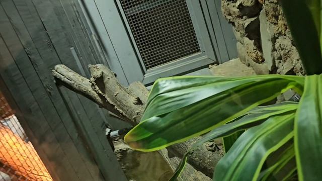 🐾По следам животных: первая часть нашего приключения в Ростовском зоопарке