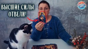 ОТЧЕГО ОТВЕЛИ ВАС ВЫСШИЕ СИЛЫ И ЧТО ДАЛИ ВЗАМЕН? | Гадание таро расклад