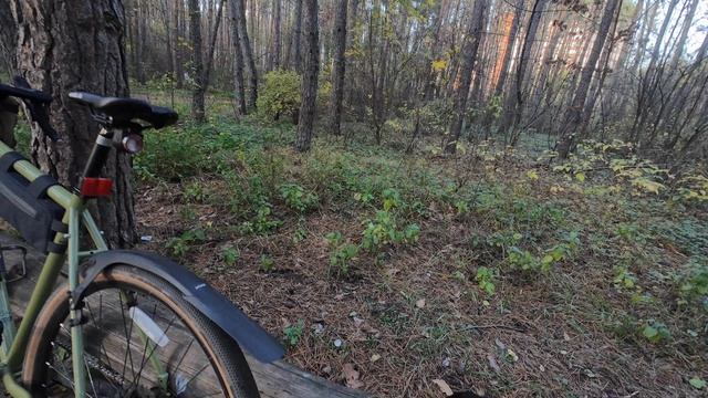 Закрываю велосезон 2025. Воронеж.