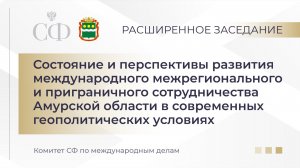 Участники расширенного заседания Комитета Совета Федерации по международным делам, проходящего в вер