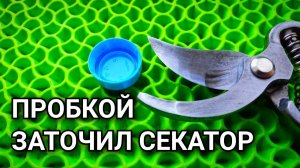 КАК ЗАТОЧИТЬ СЕКАТОР С ПОМОЩЬЮ ПРОБКИ