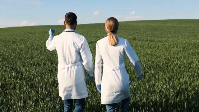 Говорим о важном с Верой Виль смотреть онлайн