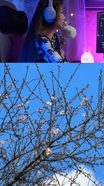 #весна #цветы #цветение #веснапришла #первыецветы #сад #первоецветение смотреть онлайн