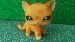 LPS: 1/3 часть Приз победителю конкурса за первое место Пятнистому Бисквиту песня: Кот Воитель