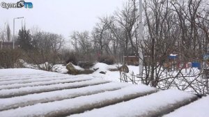 Если бы вы стали мэром?