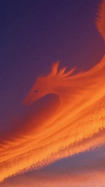 Это же гигантская Жар-птица, Феникс... смотреть онлайн