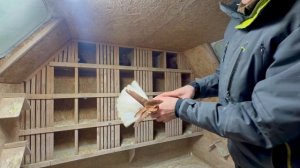 Голуби Коткова А.П. красные белохвостые (цветные)02-02-2026