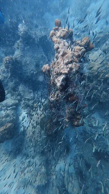 Дайвинг в  Паттайе.