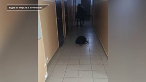 УГРОЗЫ РАСПРАВОЙ