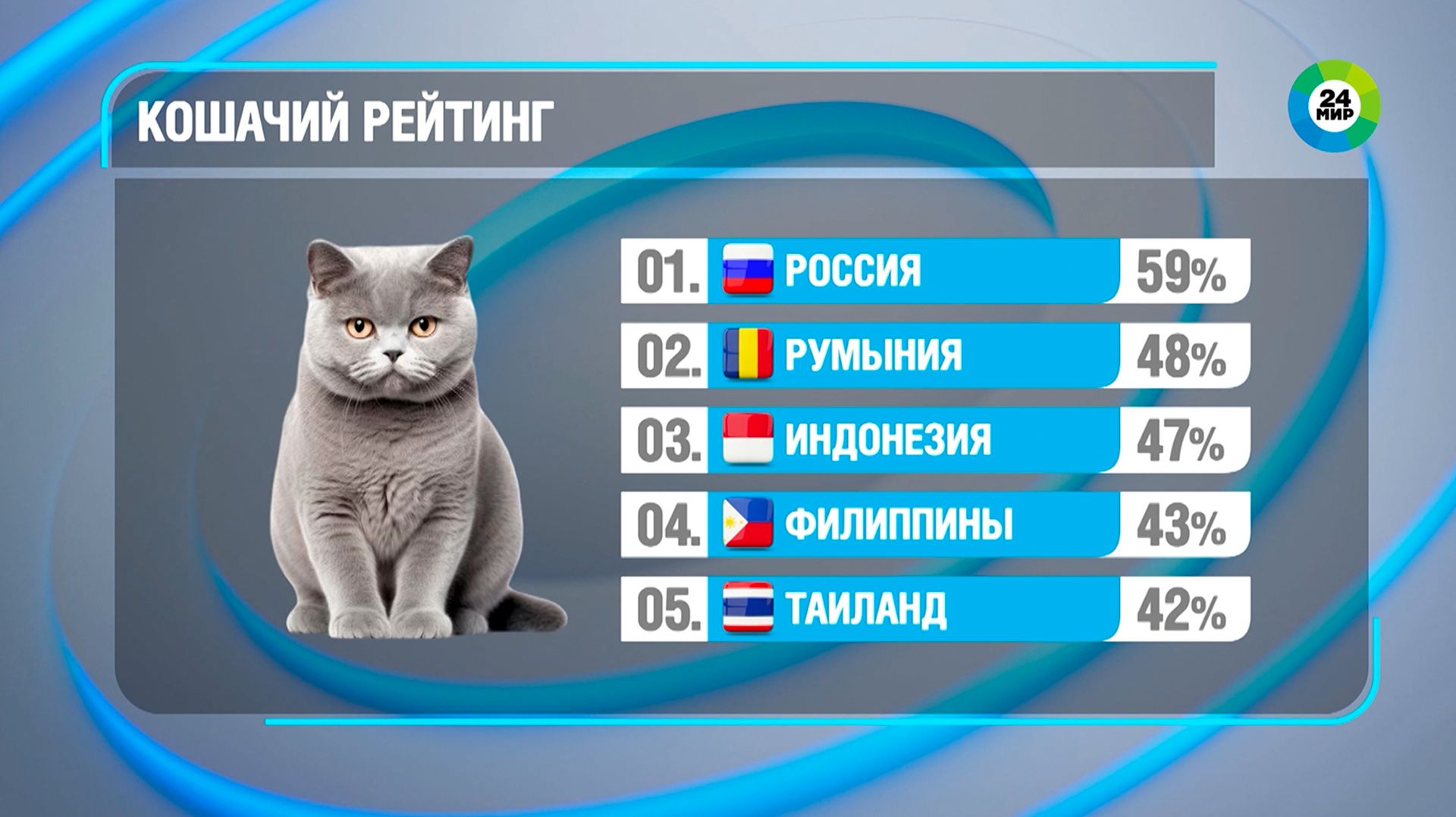 Россия стала самой «кошачьей» страной мира смотреть онлайн
