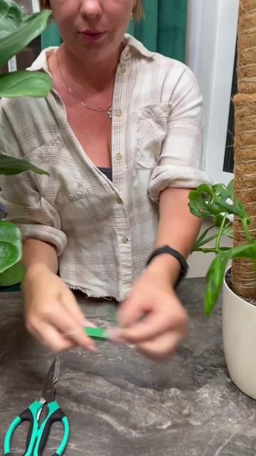 Тотем для моей монстеры ♥️