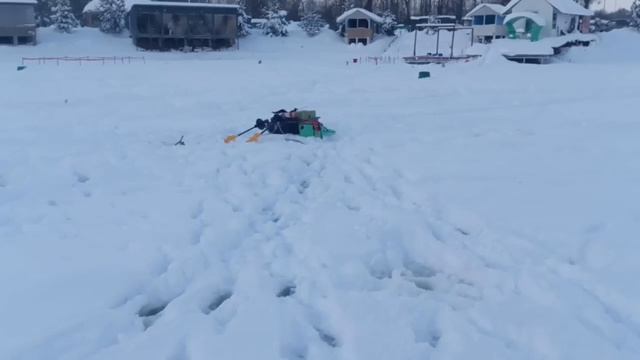 5771.mp4 смотреть онлайн