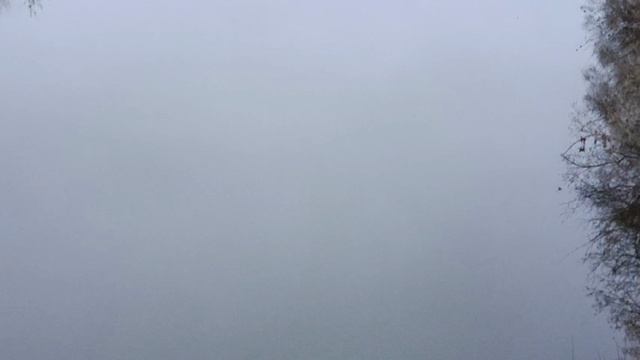 #природа всегда красива #природа всегда красива