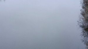 #природа всегда красива